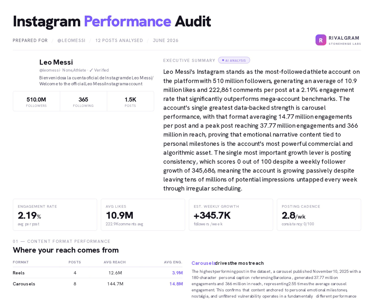 Sample Rivalgram audit report preview